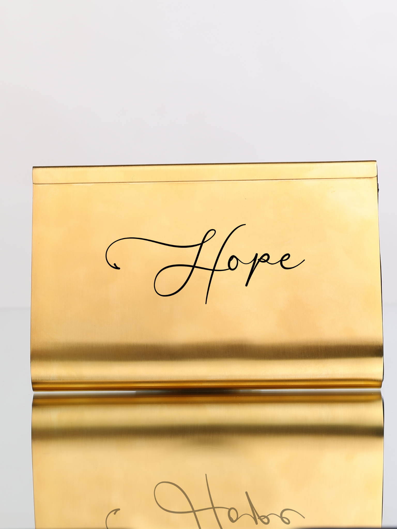 HerPorte-Hope 24k Gold Dipped Large Clutch