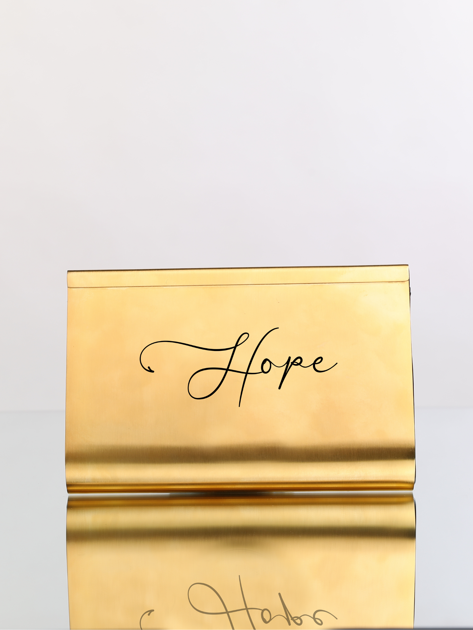 HerPorte-Hope 24k Gold Dipped Medium Clutch